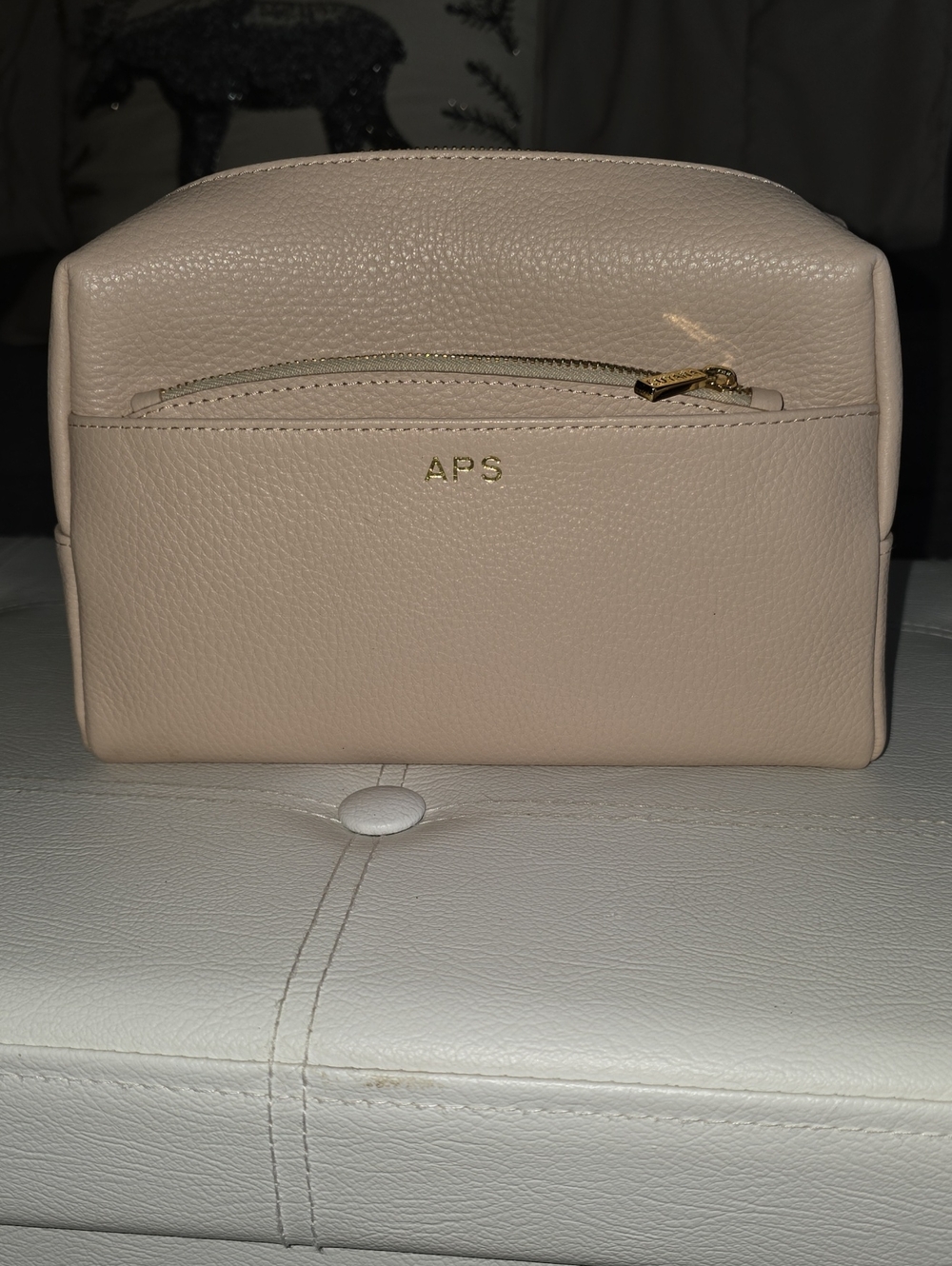 Cuyana Vanity Case In Blush Pink